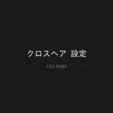 クロスヘア 設定 - CS2攻略